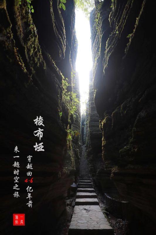 烘干用无缝翅片管散热器