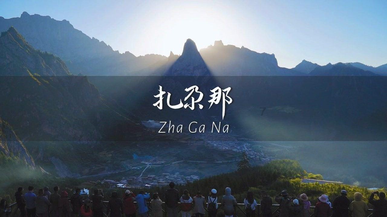 猫头鹰森林逃生