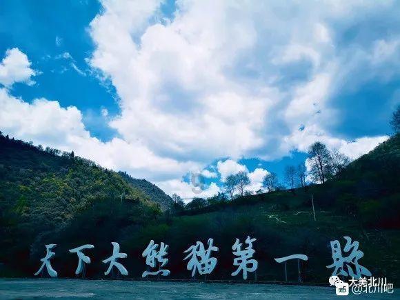 强大的狮子拼图